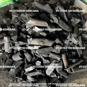 Emballage de charbon de bois pour nouvel an 2021, sakakha en arabie saoudite, pour fruits, BARBECUE, charbon de bois, gril, charbon de bois, sachet - Product Image 6