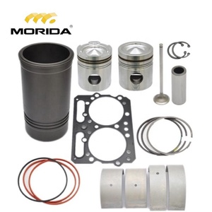 Kit iesel ngine iston, 855 - Product Image 1