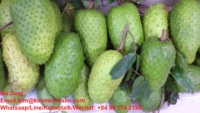 Top Selling 2022 Premium Kwaliteit Verse Soursop/Graviola Fruit Smaak Natuurlijke Zoete Uit Vietnam