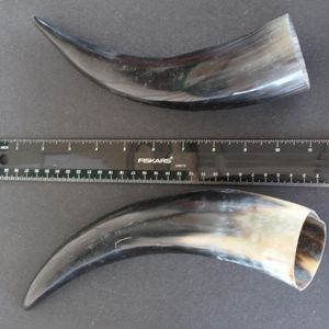 Cuernos de Vaca Crudos de Calidad en Venta a Precio Económico, Producto en Oferta, Par de Cuernos Naturales y Pulidos - Product Image 3