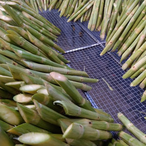 Iqf ggn น้ำอ้อยและเยื่อกระดาษแช่แข็งต้นกำเนิดจากเวียดนาม - Product Image 1