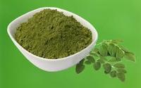 Poudre de feuille de Moringa oléi120 g, extrait de plantes, vente au détail, meilleur prix