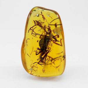 อำพันสังเคราะห์สีเหลือง 29.33 กรัม ขนาด 40x64 มม. รูปทรงไม่สม่ำเสมอ สำหรับทำเครื่องประดับแฮนด์เมด - Product Image 6