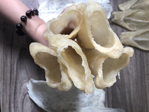 MEILLEUR PRIX POUCHE DE POISSON/VENTRE DE POISSON - POUCHE DE PANGASIUS - Product Image 6