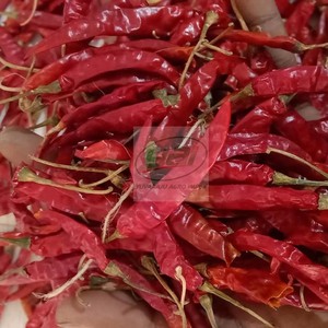 100% first quality indian dried red chilly