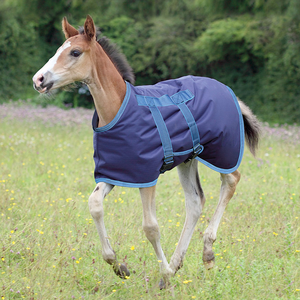 Waterproof and Breathable 100% Polyester Fabric <b>Horse</b> Blanket Quick Drying <b>Riding</b> Turnout Blanket - Product Image 3