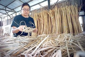 Vente en gros de rouleau de sangle de canne en rotin blanchiment de couleur du Vietnam technique de maille pour meubles/sacs Mme Lily + 84 906 927 736 - Product Image 5