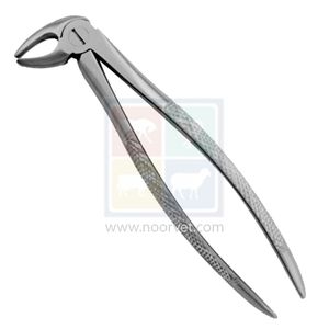 คีมสเตนเลสฟอร์จขนาด7นิ้วอุปกรณ์ตัดแต่งกิ่งไม้สำหรับม้า - Product Image 1