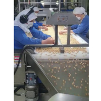 Nouvelle table de tri manuelle de type convoyeur NUTMAKSAN NUT-TC en acier inoxydable 304, PVC de qualité alimentaire, pour usine de fabrication