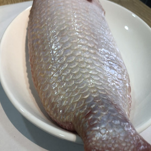 ปลานิลสีแดงแช่แข็งจากเวียดนาม GGS ปรับขนาด10kgs บรรจุภัณฑ์น้ำหนักแบบอร่อย - Product Image 5