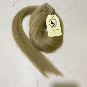 Extension de cheveux naturels 30 pouces — noble, mèches de qualité supérieure, Double Drawn blondes, couleur 60 # - Product Image 1