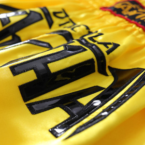 GAF de alta calidad por encargo Muay Thai MMA Boxing Fight Short para Unisex en premio bajo - Product Image 6