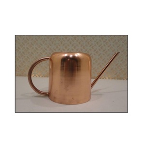 Arrosoir en métal plaqué en relief, Mini métal personnalisé en vrac acheter intérieur/extérieur jardinage moderne en gros acier inoxydable - Product Image 4