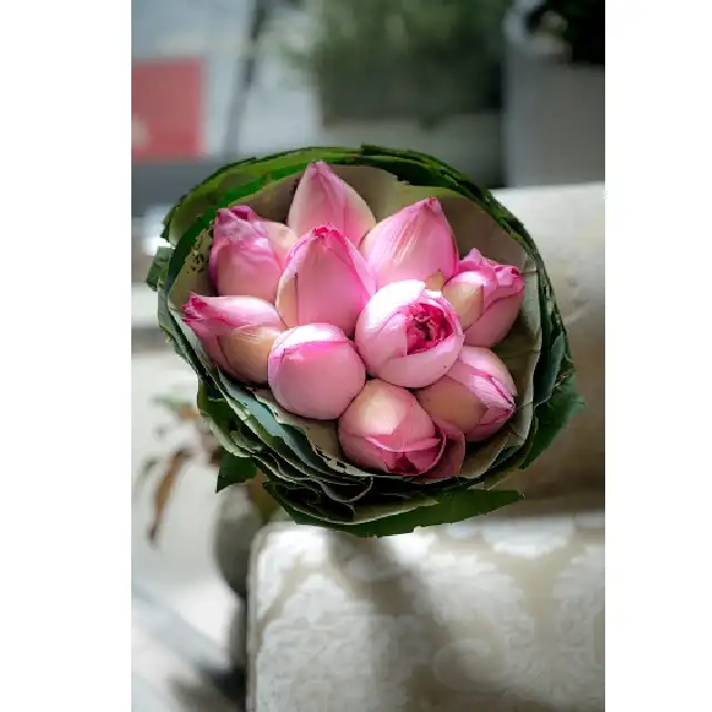 Fresh loose Flowers lotus buds Beautiful Restaurant Home Decoration Wishing long stem flower Bouquet fragrance