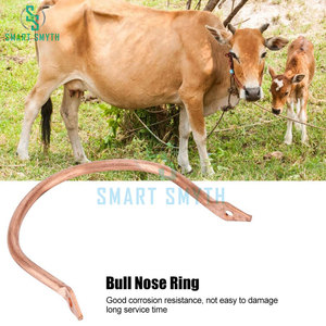 Anillo para la nariz para ganado, accesorio para granja, Animal veterinario - Product Image 6