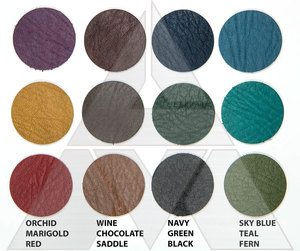 El mejor escudo de entrenamiento de Material de cuero con patrón de impresión Niños/Adts Venta en línea MMA Taekwondo Boxeo Muay Thai Artes marciales - Product Image 6