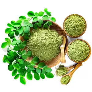 100% 유기 순수 Moringa 잎 추출물 분말 및 캡슐 인도 제조 업체