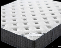 Colchón Ortopédico Económico y Confortable con Diseño Lavable Antibacteriano con Cierre para Uso en Dormitorios y Hospitales, Venta al Por Mayor, Marca Privada