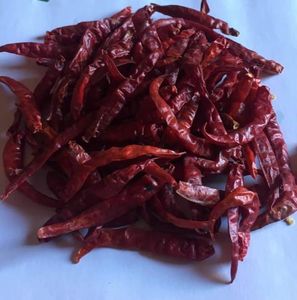 Poudre de piment, 10 ml, nouvelle offre spéciale - Product Image 6