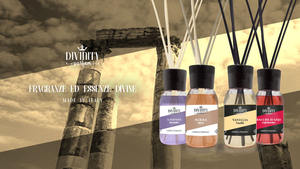 Diffuseur de roseaux italien, 125ml, meilleure qualité, ligne exclusive de parfum pour maison, pour vente en gros - Product Image 4