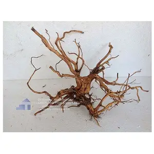 Hot product 2024 Driftwood Aquarium Plant: Stunning New Design - Perfect for Fish Tanks! WhatsApp: +84 961 005 832