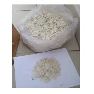 HIGH QUALITY DRIED FISH SCALE/ CLEAN DRIED FISH SCALE FROM VIETNAM (WA: +84327746158) 99 Gold Data