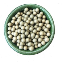 Récipient à pression de composant de noyau de système de filtre Bio de boule en céramique antibactérienne micro poreuse 1000L/heure pour le traitement de l'eau RO
