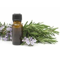 ซื้อน้ำมันจูนิเปอร์เบอร์รี่100% น้ำมันออร์แกนิกบริสุทธิ์สำหรับใช้ในพื้นที่พิเศษราคาขายส่ง - Product Image 4