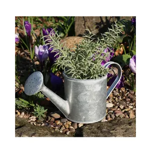 Galvanized Custom Metal Watering Cans For Garden Plants Hot Selling and High Quality