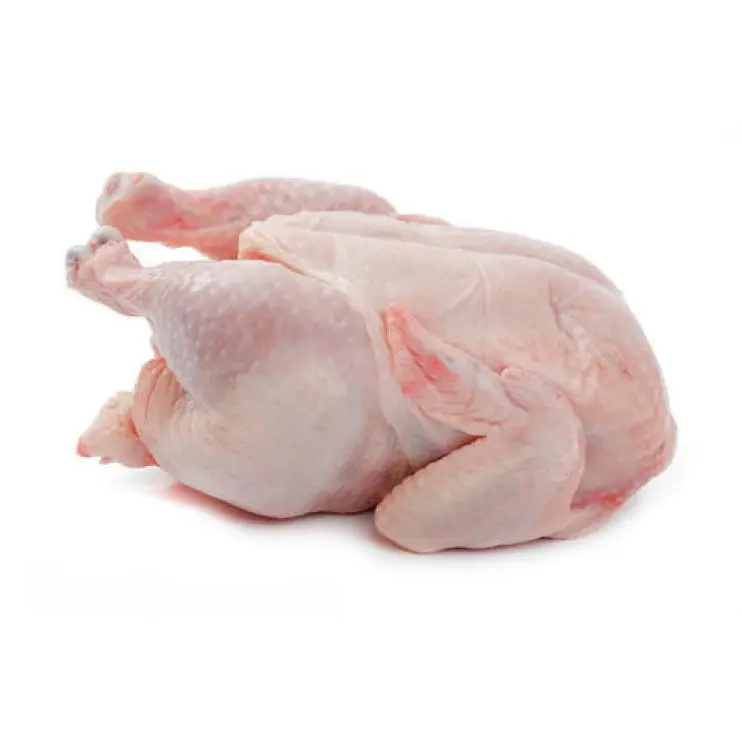 Pollo entero de congelación HALAL, HACCP, precio bajo