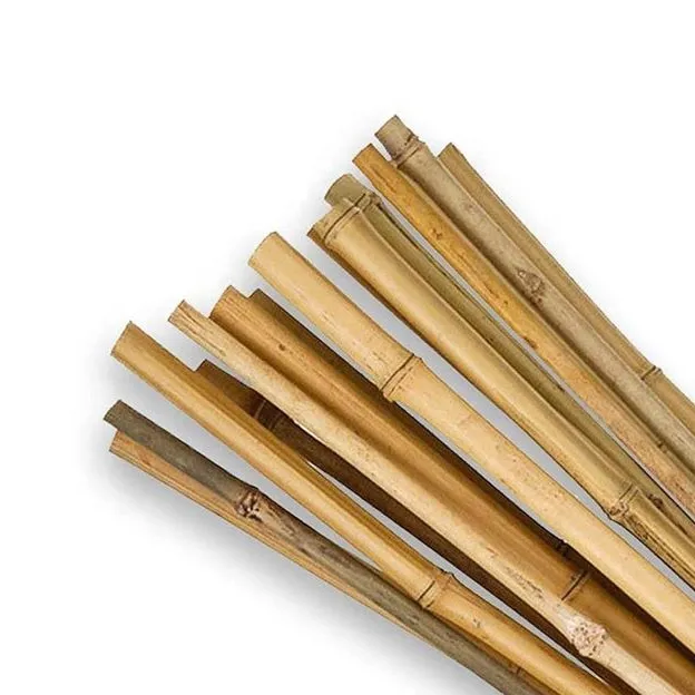 CHEAP PRICE VIETNAMESE BAMBOO STAKES CANES MANUFACTURERS FOR CONSTRUCTION AND BUILDING MATERIAL FROM ECO2GO