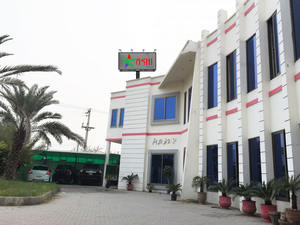 Montar a caballo Leggings transpirables Empuñaduras de rodilla ecuestres Jodhpur Medias Ropa deportiva Pantalones Ropa - Product Image 5