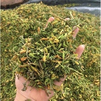 男性のパパイヤドライフラワーからのカリカパパイヤLフラワー-PawPaw Flowers - Tea healthy - M - Ms. Alila 84 979 478 001 (Whatsapp)