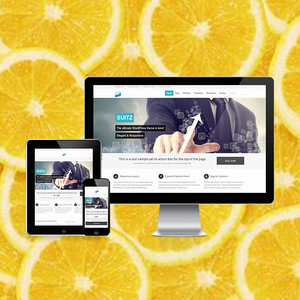 บริษัทพัฒนาเว็บไซต์ Wordpress มืออาชีพในอินเดีย |   บริการพัฒนาเว็บไซต์ Wordpress ที่ได้รับรางวัล โดย Webroot - Product Image 1