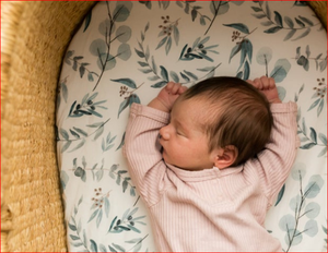 Comprar hojas de Moisés, suministro OEM, Sábana de Moisés orgánica de alta calidad - Product Image 3