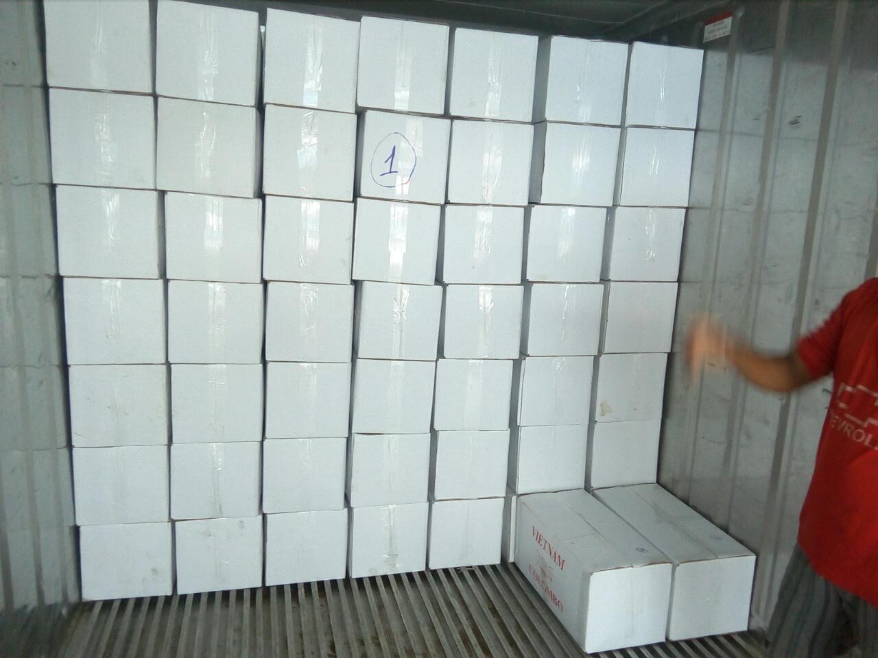 Dry seafood- dried fish anchovy from Vietnam Cheap Price- seafood(dot)linda(at)gmail(dot)com