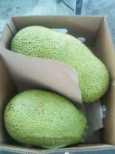 ขนุนออร์แกนิกสดเกรดสูงจากเวียดนามและส่วนผสมอาหารอร่อย-MS Laura - Product Image 4