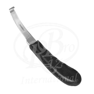 Coltello Standard per zoccolo in acciaio inossidabile lama stretta J2 con manico in plastica mano destra per taglio dello zoccolo equino strumento maniscalco zoccolo cavallo - Product Image 1