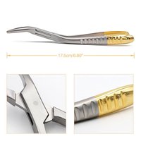 Ensemble d'instruments chirurgicaux dentaires Ruya, 3 pièces, forceps d'extraction dentaire manuels, forceps pour fragments radiculaires, forceps dentaires mini-invasifs, CE