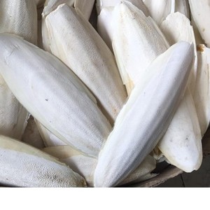 Cuttlebone seco para pájaros Hueso de sepia de alta calidad blanqueado, recortado, paquete de blíster/Ethan - Product Image 6