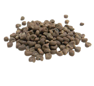 100% huile essentielle de graine d'ambrette naturelle de qualité thérapeutique emballage personnalisé doux liquide peau soins du visage certifié GMP gratuit - Product Image 2