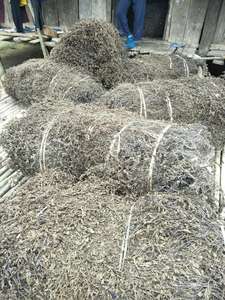 100% FEUILLES DE GELÉE D'HERBE SÉCHÉES NATURELLES-AMBRE - Product Image 4