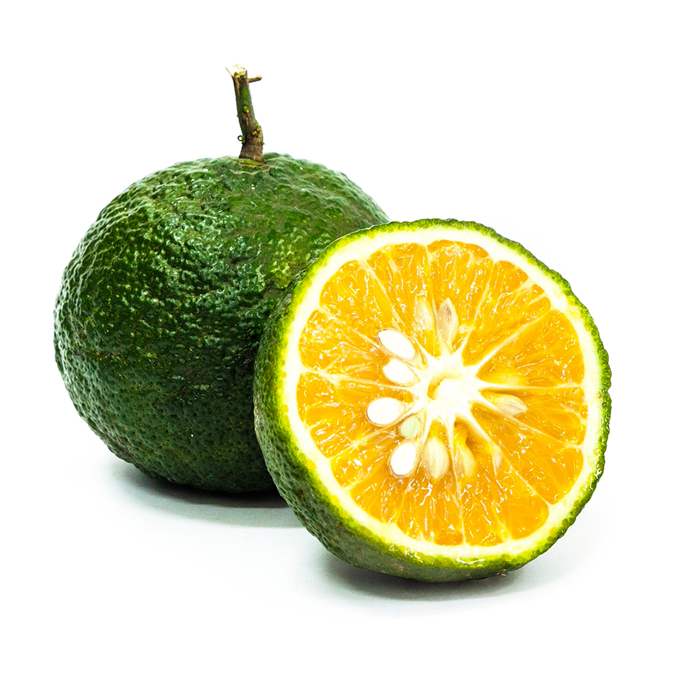 HIGH QUALITY FRESH ORANGE / GREEN ORANGE / CAM SANH