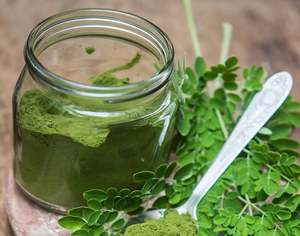 Produit le plus vendu Poudre de feuilles de Moringa / Poudre de Moringa biologique au Vietnam / Mme Nary +84 976 592 207 - Product Image 2