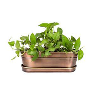 ทองแดงโบราณ