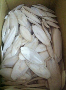 Os de seiche en vente chaude en provenance du Vietnam, de haute qualité et sans produits chimiques pour les oiseaux et les animaux - Product Image 2