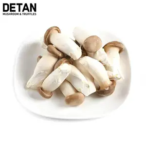Detan Eryngii 中国国王牡蛎蘑菇市场价格
