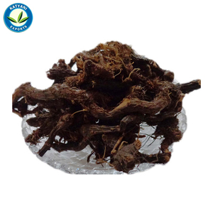 Approvisionnement en vrac 100% huile essentielle biologique pure et naturelle de Cypriol (Nagarmotha) fournisseur en gros d'huile pressée à froid de qualité supérieure - Product Image 3