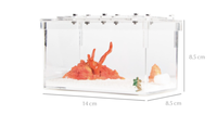 Terrarium en plastique écologique de petite taille pour reptiles, couleur personnalisée, style classique, 14x8,5x8,5 cm, pour petits animaux domestiques