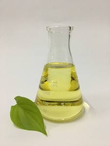 Aceite Esencial Puro de Hoja de Betel con Ingrediente de Árbol de Té, Destilado al Vapor para Limpieza de Poros y Cuidado Corporal Antiarrugas - Product Image 2